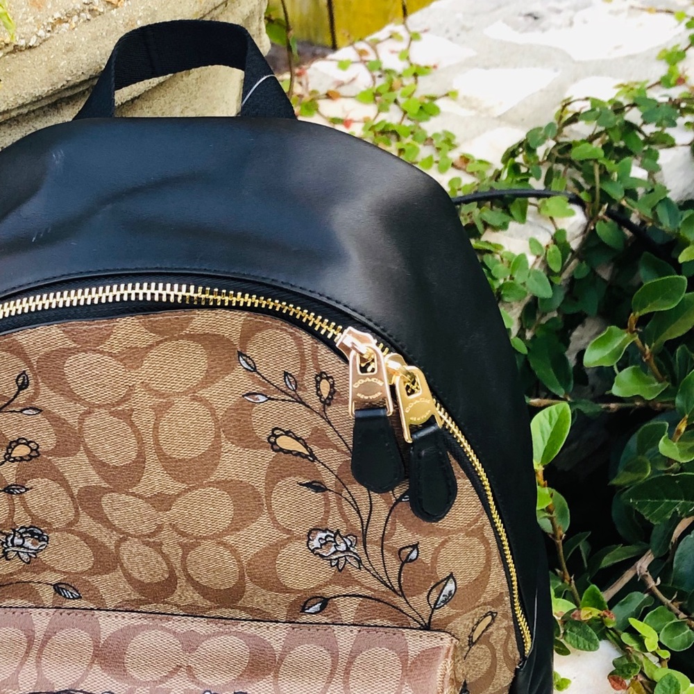 NWT Coach Chelsea animation MD Charlie backpack - Picture 7 of 8